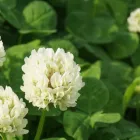 プライバシーポリシー